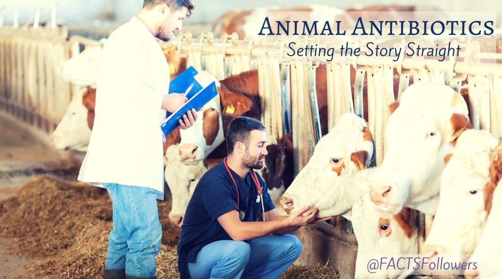 Setting the Story Straight on “Human Antibiotics” in Animals: Expert Q&A –  Food Insight