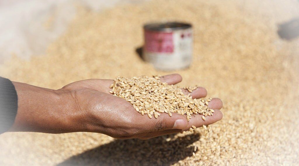 african-grain.jpg