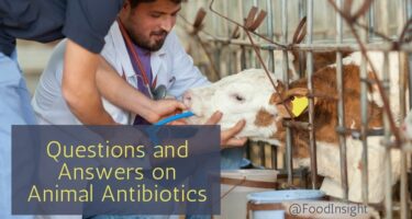 Animal antibiotics Q&A_0.jpg