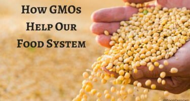How GMOs Help Our Food Supply & Environment (1)optimized.jpg