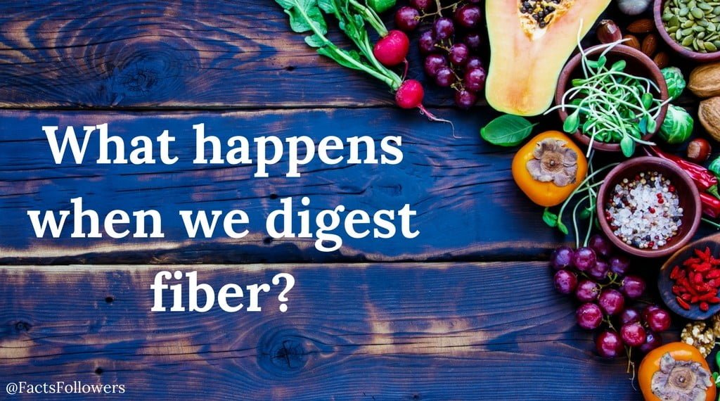 How does our body digest fiber__opt.jpg