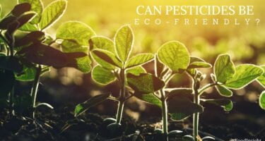 eco friendly pesticides_0.jpg