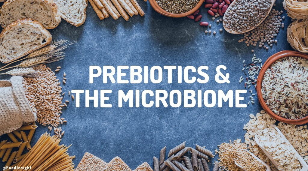 prebiotics and the microbiome.jpg