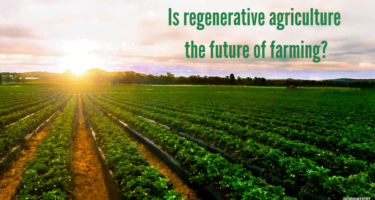 What is Regenerative Agriculture? Is regenerative agriculture the future of farming?