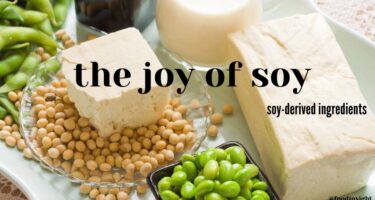 The Joy of Soy: soy-derived ingredients: Soy Series, Part One: The Basics of Whole Soybean Foods