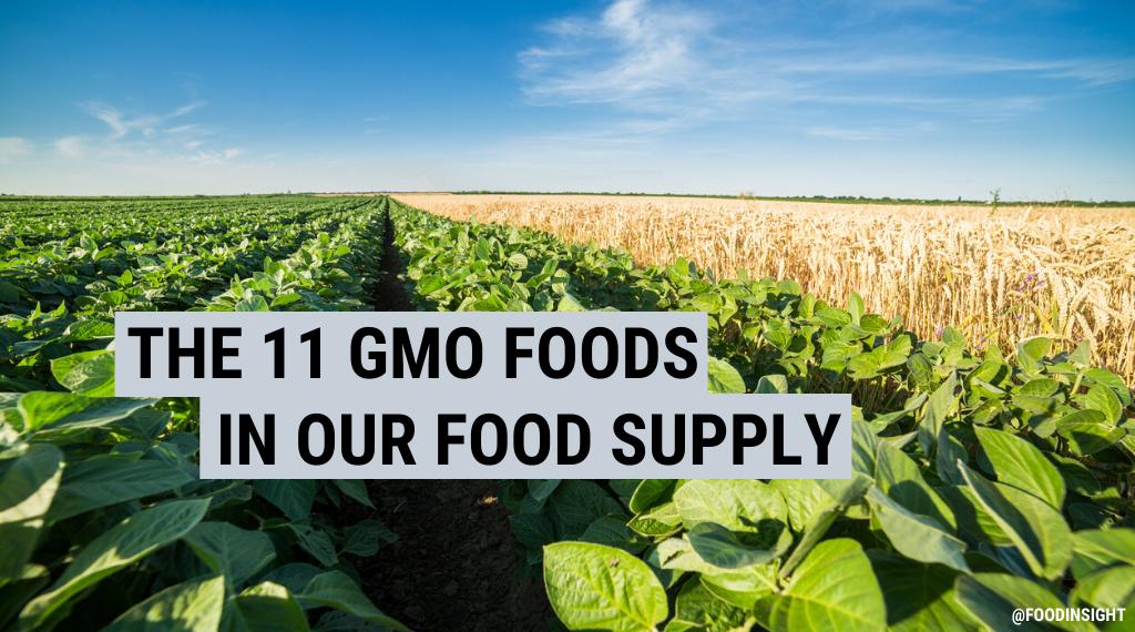 Genetically Modified Organisms and Our Food Supply – Food Insight