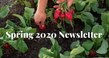 Spring 2020 Food Insight Newsletter