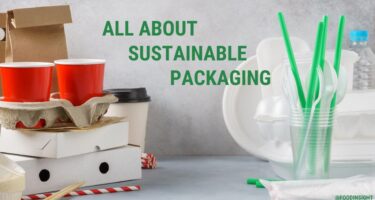 What You May Not Know About Sustainable Packaging