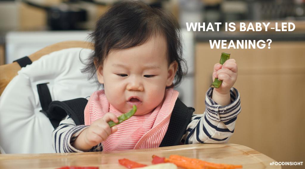 Baby led weaning que es