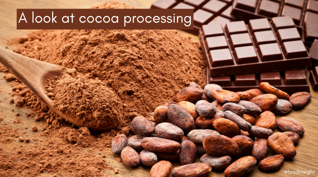 Unwrapping Our Chocolate: Cocoa Processing Insights