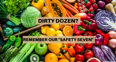 The Safety Seven: How to Dodge the Dirty Dozen