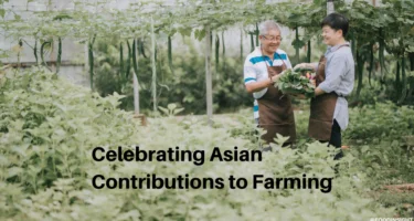 AAPI Heritage Month: Celebrating Asian Contributions to Farming